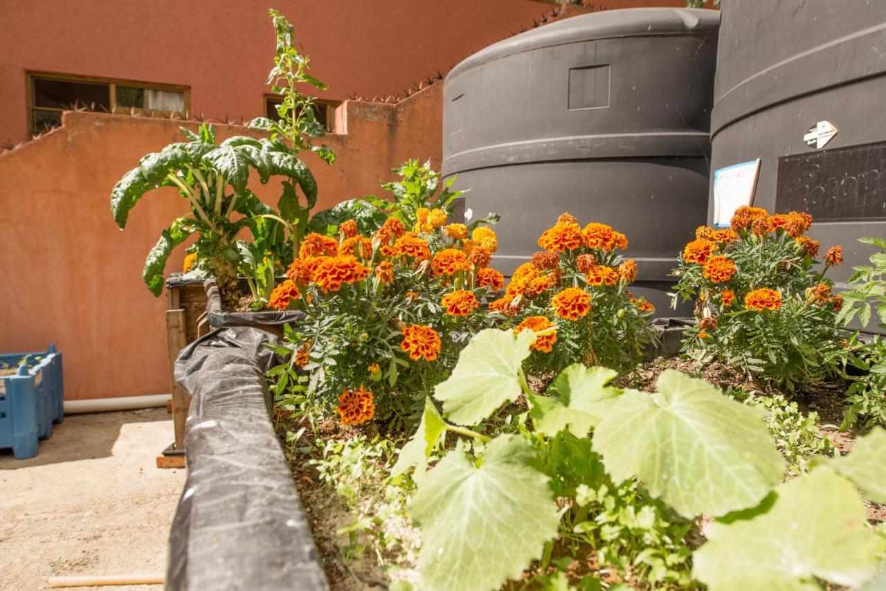 Casa Estrella De La Valenciana Hotel Boutique Guanajuato Exterior foto